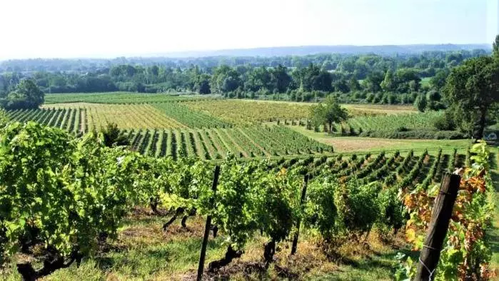 ペンション Manoir Du Bois Mignon