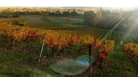 ペンション Manoir Du Bois Mignon