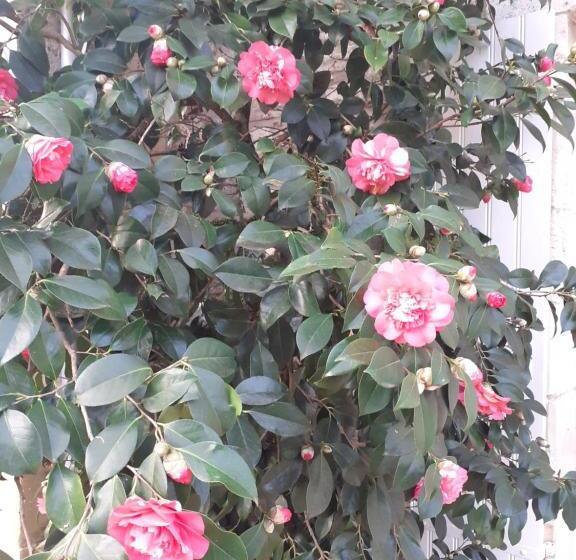 Пансион Manoir Du Bois Mignon