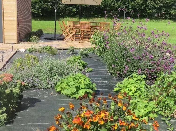 Aamiaismajoitus (B&B) Les Chambres De La Mare Aux Saules