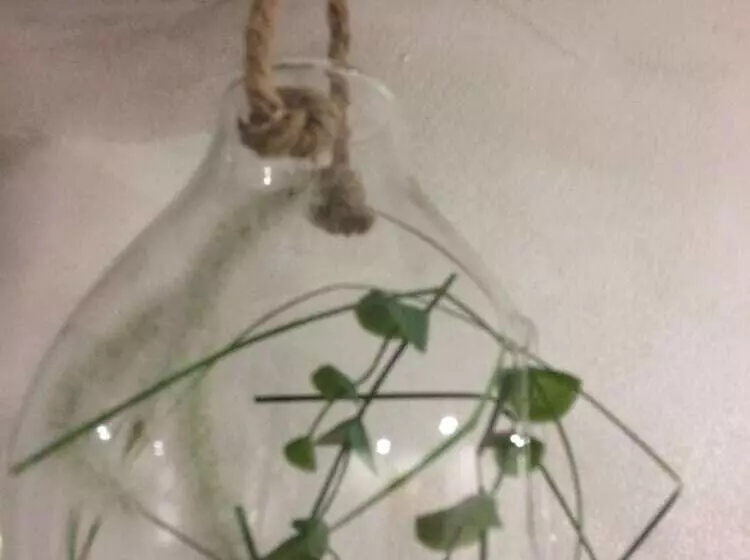 Aamiaismajoitus (B&B) Les Aires En Scènes Au Bord De L Eau