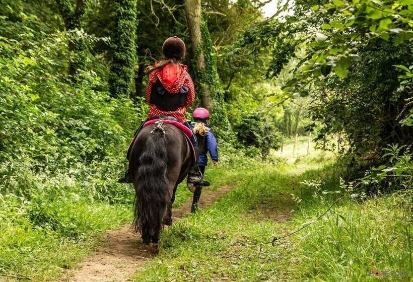 Les Cabanes De Warincthun