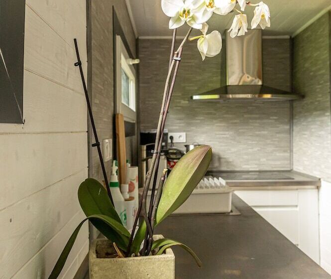 Les Cabanes De Warincthun