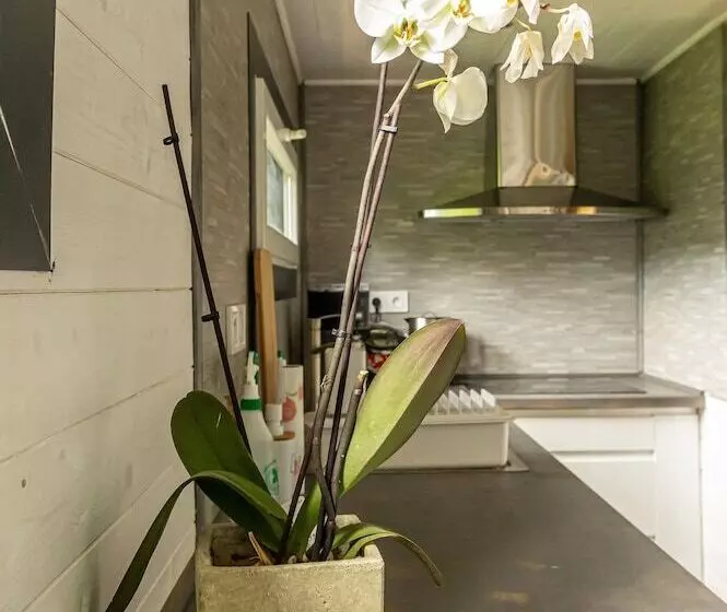 Les Cabanes De Warincthun