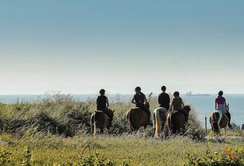 Les Cabanes De Warincthun