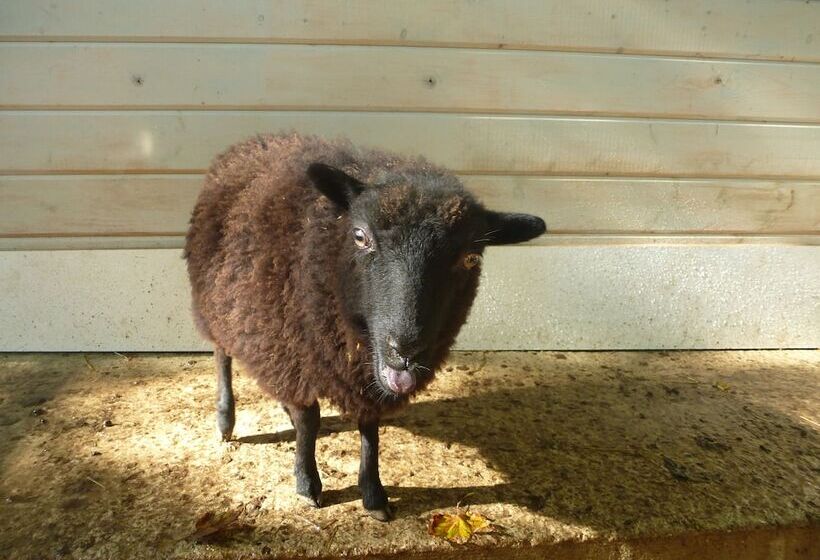 Les Cabanes De Warincthun