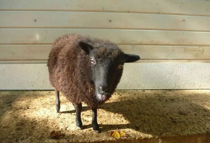 Les Cabanes De Warincthun