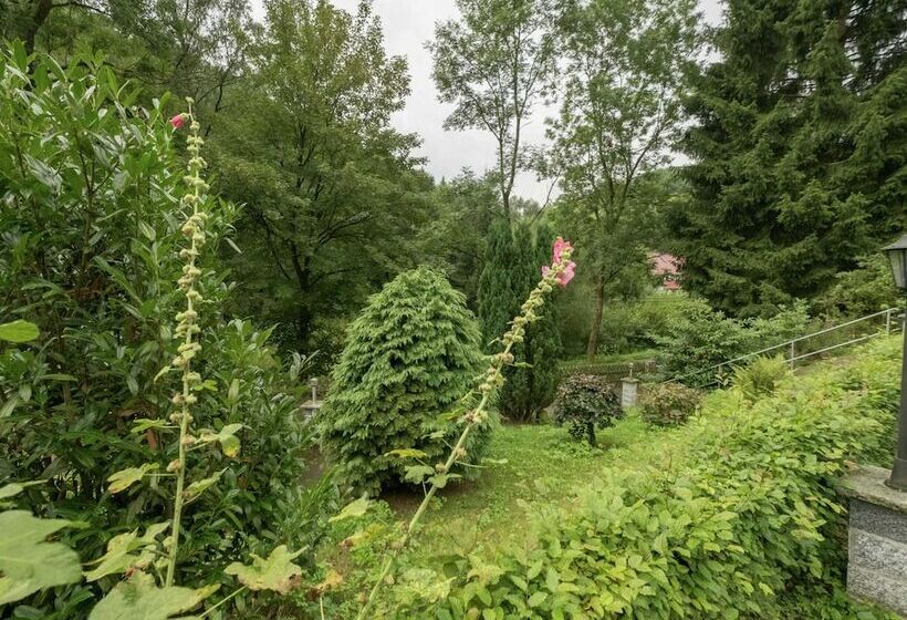 Luxurious Bungalow In Neustadt Harz With Private Terrace