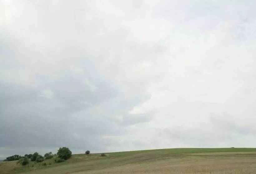 Luxurious Bungalow In Neustadt Harz With Private Terrace