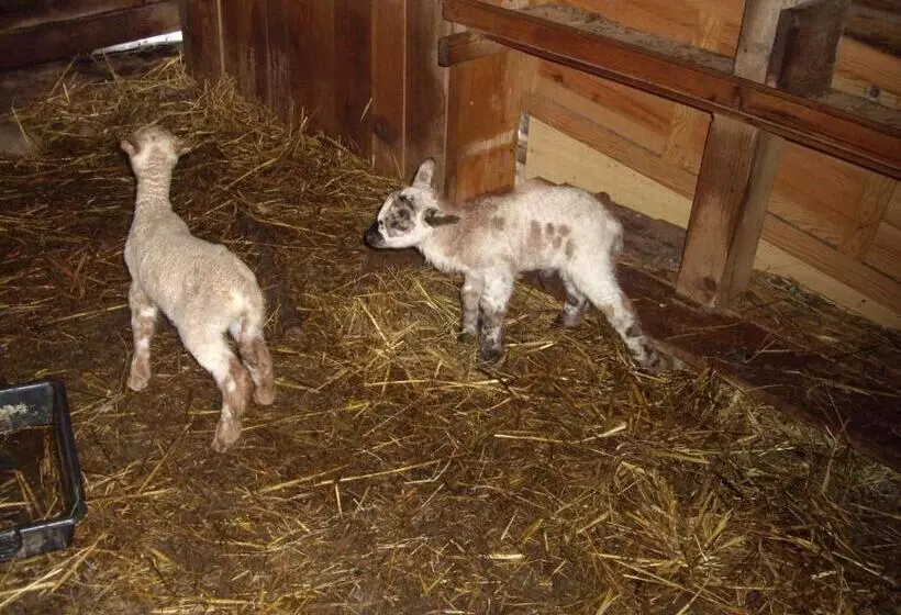 Majatalo Auberge Du Ruxelier