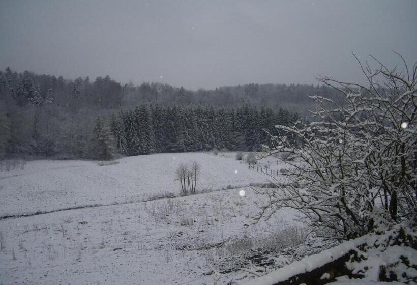 ペンション Auberge Du Ruxelier