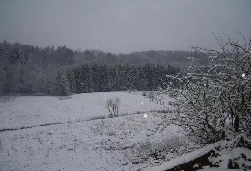 Majatalo Auberge Du Ruxelier