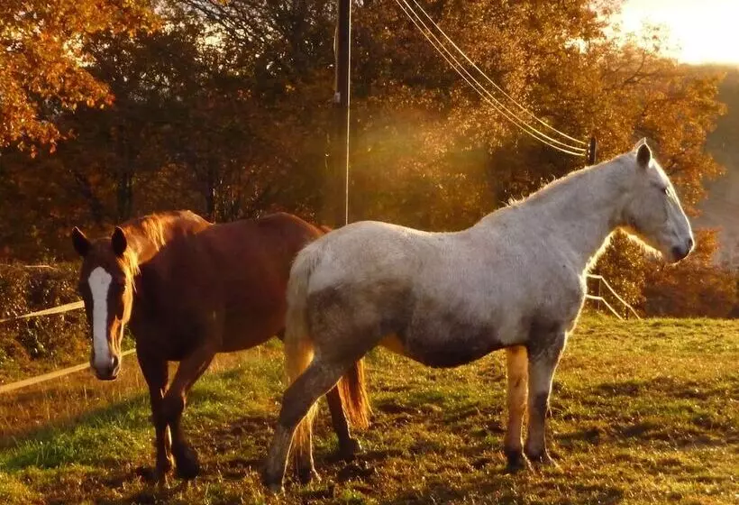 Majatalo Chez Juliette Maison Gîte