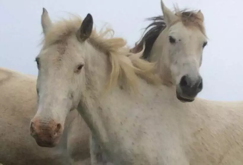 Majatalo Chez Juliette Maison Gîte