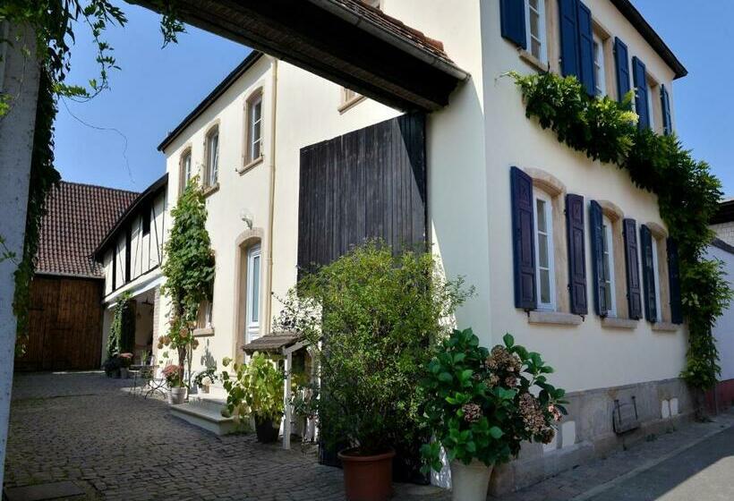 פנסיון Gästehaus & Weingut Gehrig