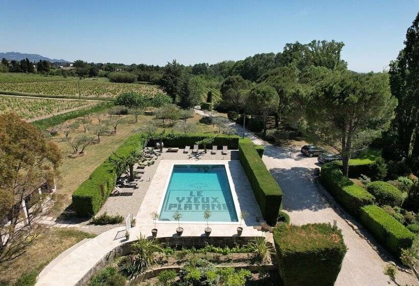 Bed and Breakfast Le Vieux Platane