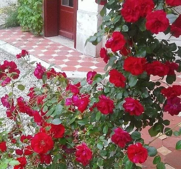 Aamiaismajoitus (B&B) Les Luz   Chambres D Hôtes