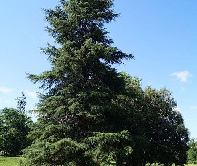 住宿加早餐  Les Luz   Chambres D Hôtes