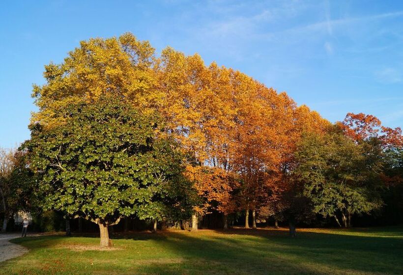 住宿加早餐  Les Luz   Chambres D Hôtes