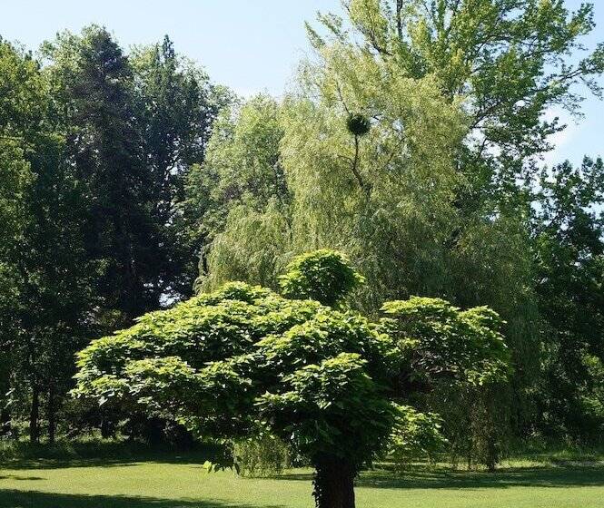 住宿加早餐  Les Luz   Chambres D Hôtes