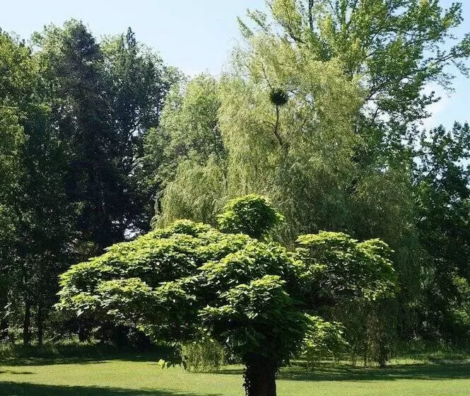 Aamiaismajoitus (B&B) Les Luz   Chambres D Hôtes