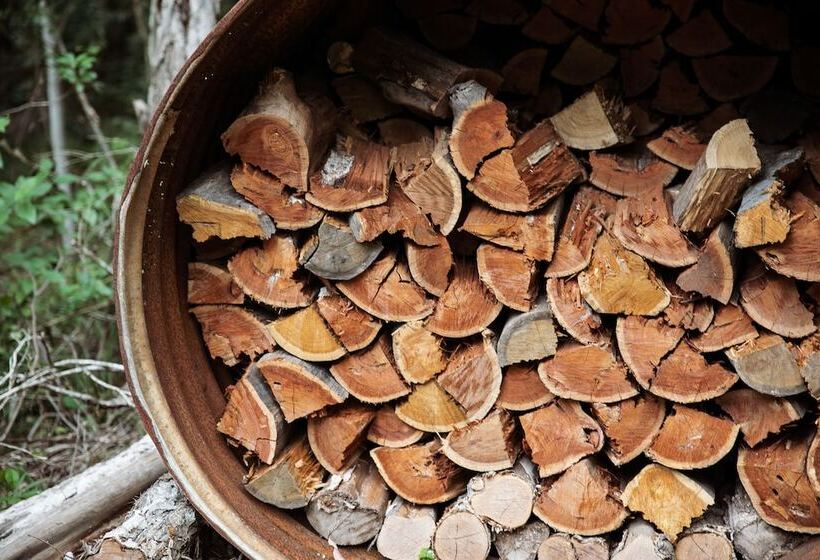 Carawirry Forest Escape