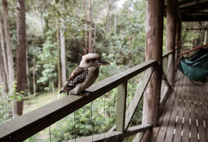 Carawirry Forest Escape