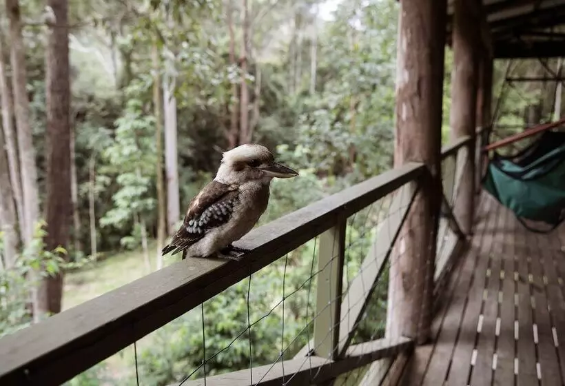 Carawirry Forest Escape