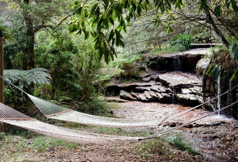 Glenworth Valley Wilderness Adventures