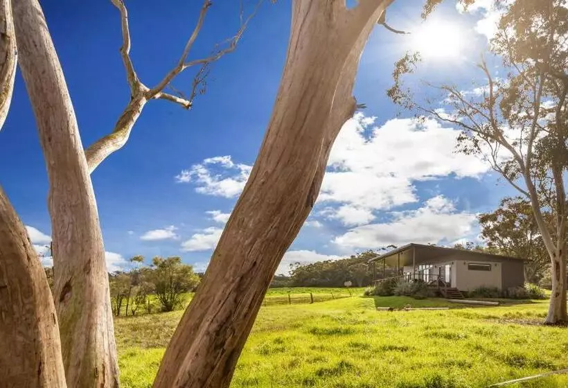 Glenworth Valley Wilderness Adventures