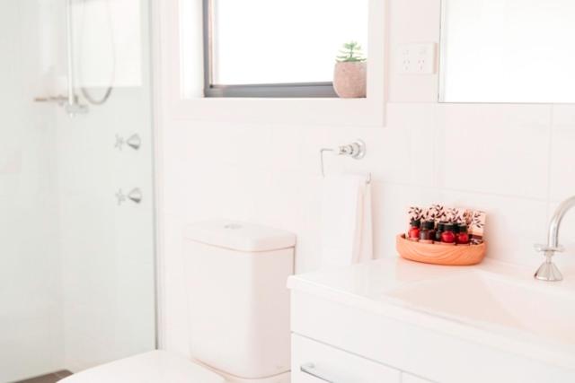 Glenworth Valley Wilderness Adventures