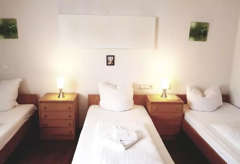 Hotelli Adler Heimsheim