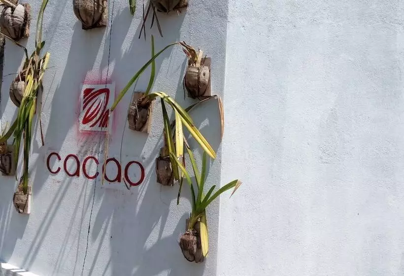 هتل Cacao