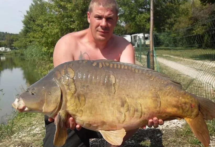 Hotelli Camping Les Naïades