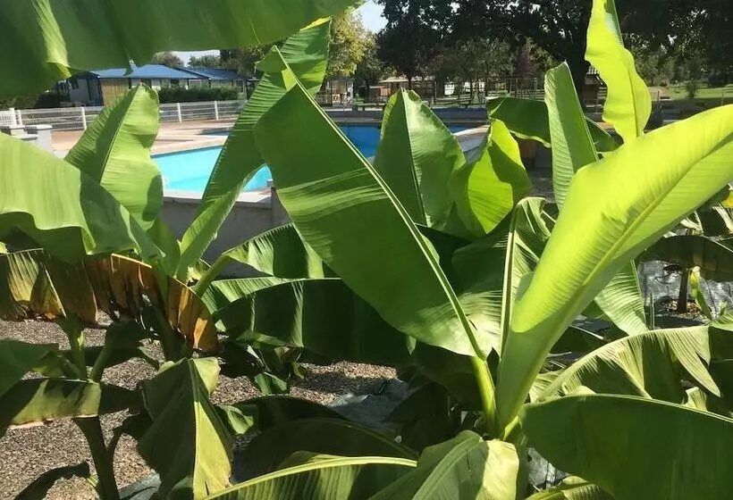 Hotelli Camping Les Naïades