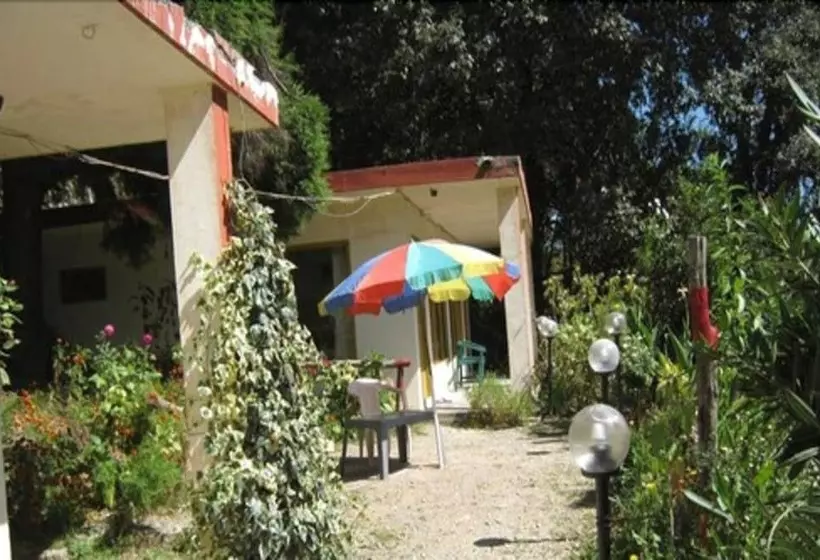 Hotelli Janardan Resort Pangot