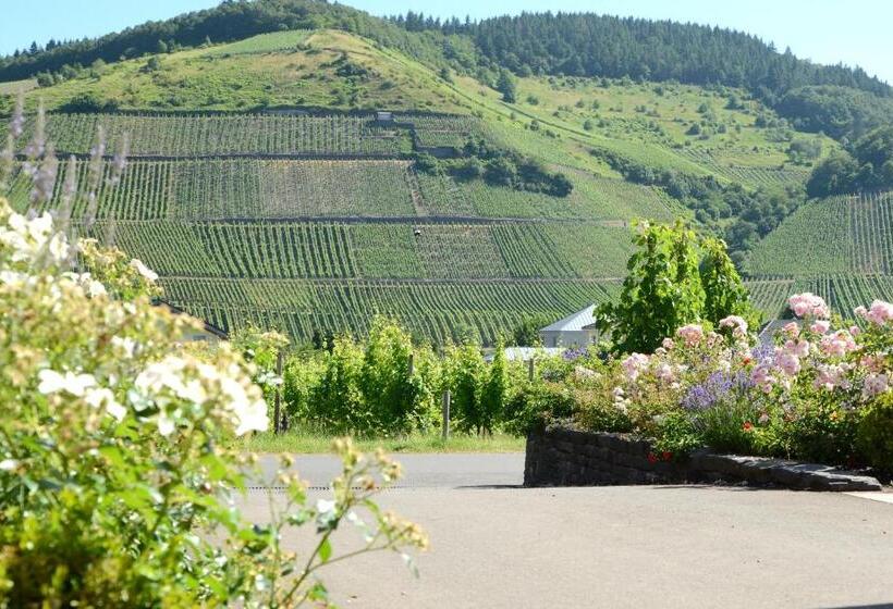 בית מלון כפרי Weinkulturgut Longenschloder