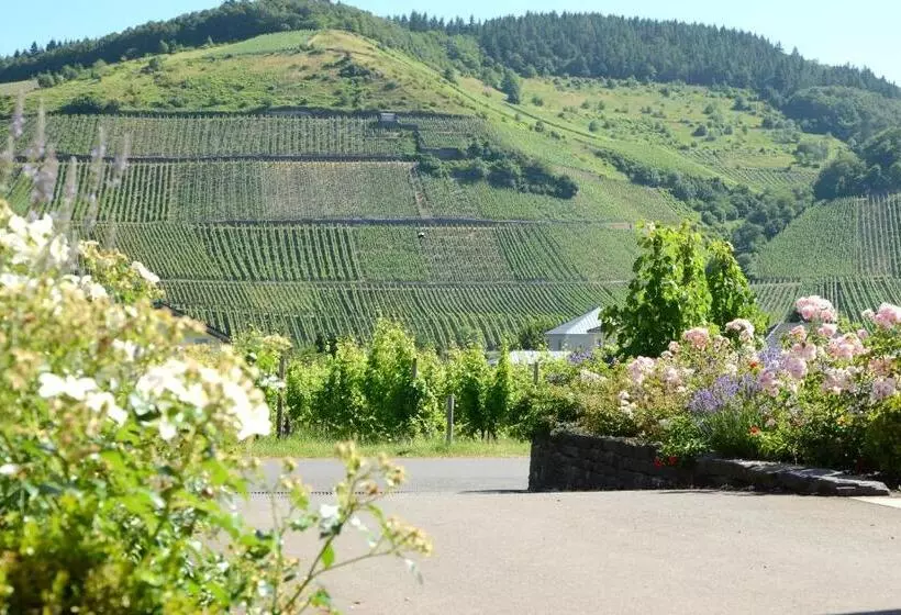 Hotelli Weinkulturgut Longenschloder