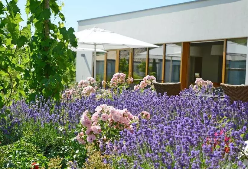 Hotelli Weinkulturgut Longenschloder