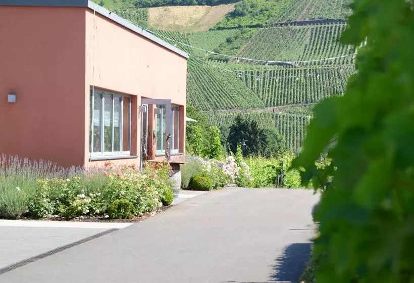 Hotelli Weinkulturgut Longenschloder