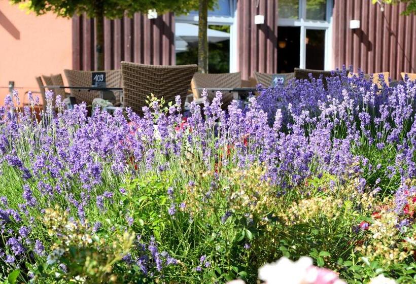 בית מלון כפרי Weinkulturgut Longenschloder