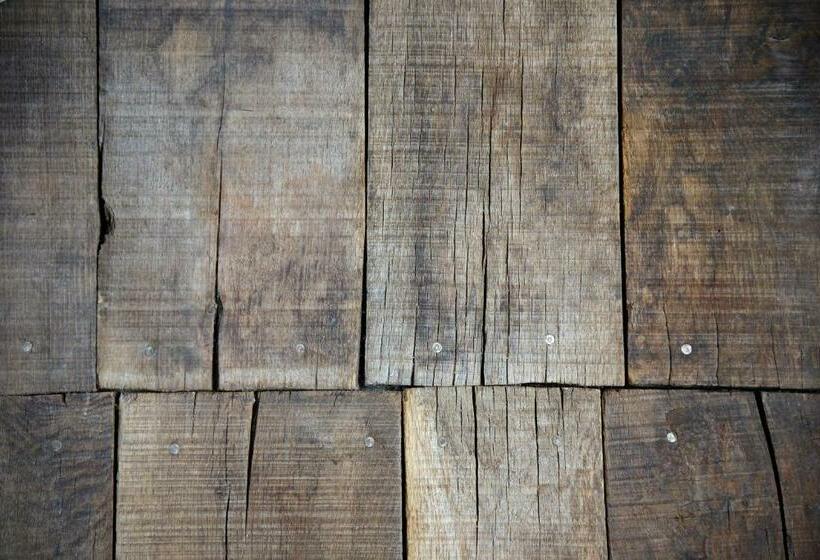 פנסיון Maison Forte