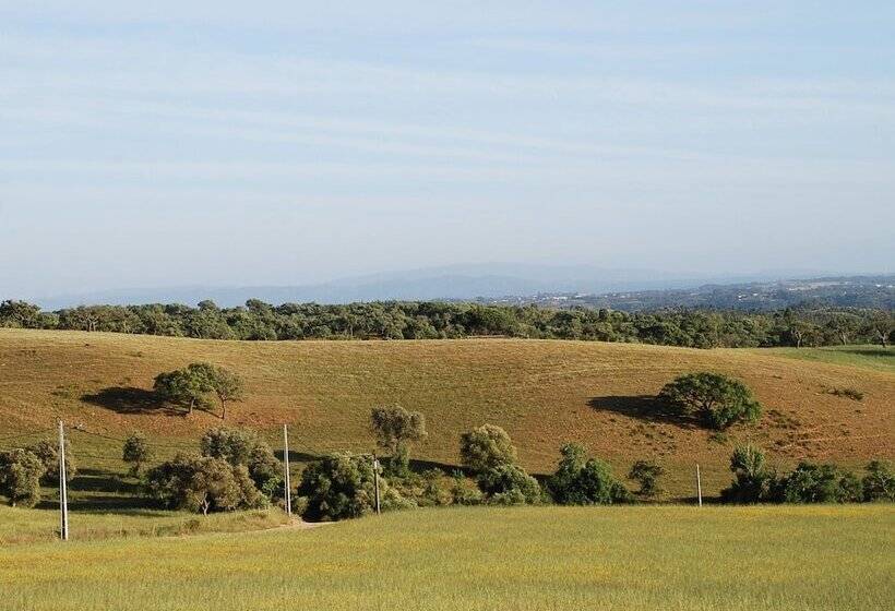 Quiet & Cottage In Estate Casas Da Cerca Near Troviscais