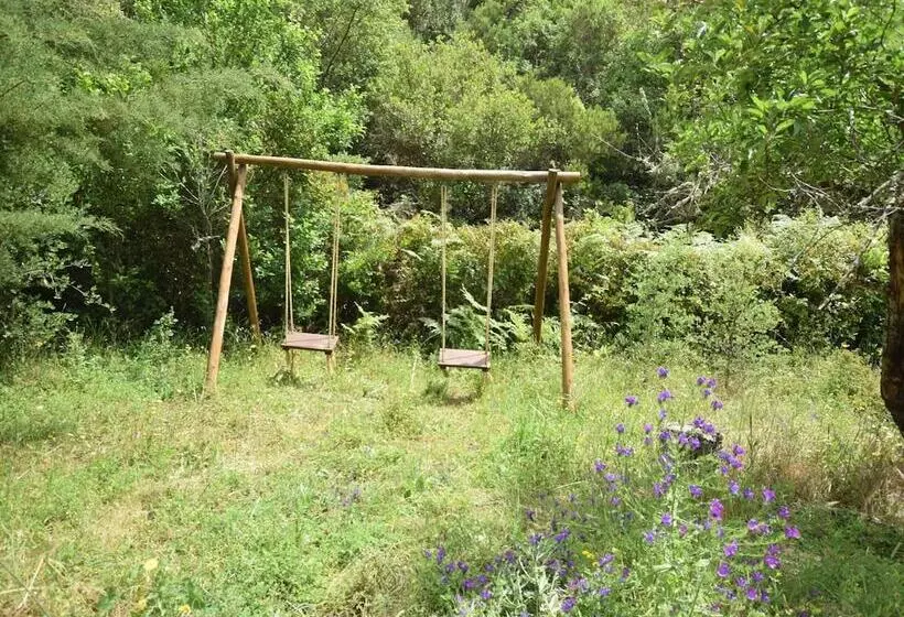 Quiet & Cottage In Estate Casas Da Cerca Near Troviscais