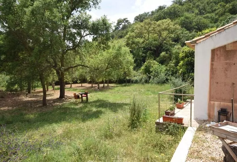 Quiet & Cottage In Estate Casas Da Cerca Near Troviscais