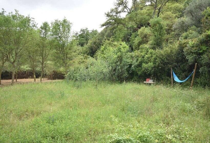 Quiet & Cottage In Estate Casas Da Cerca Near Troviscais