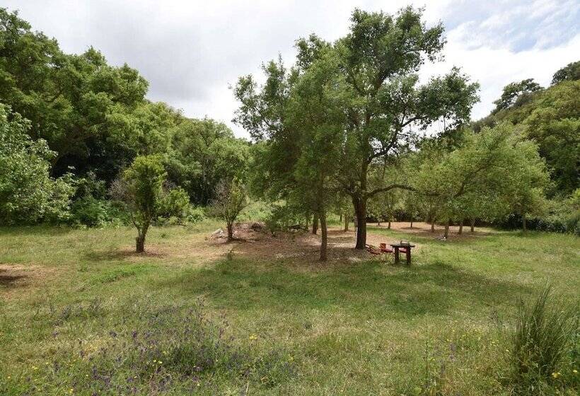 Quiet & Cottage In Estate Casas Da Cerca Near Troviscais