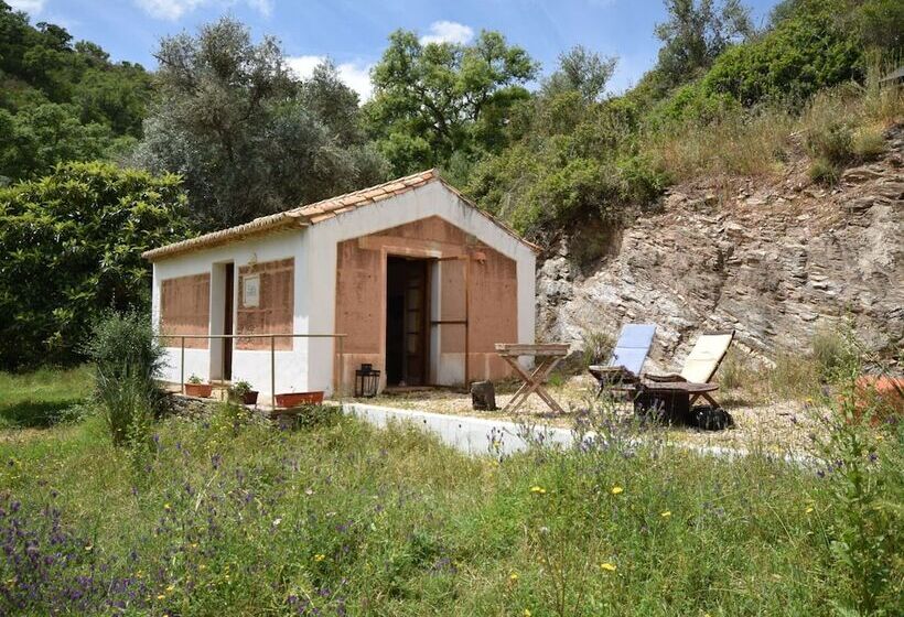 Quiet & Cottage In Estate Casas Da Cerca Near Troviscais