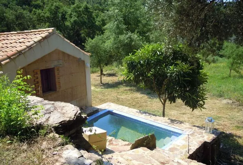 Quiet & Cottage In Estate Casas Da Cerca Near Troviscais