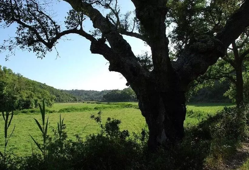 Quiet & Cottage In Estate Casas Da Cerca Near Troviscais